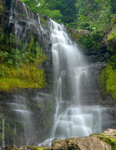 waterfall through dense forest