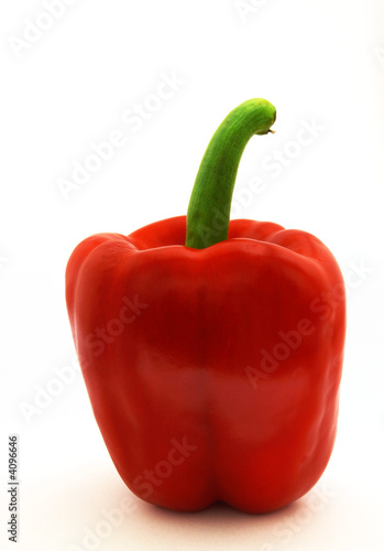 red pepper bell