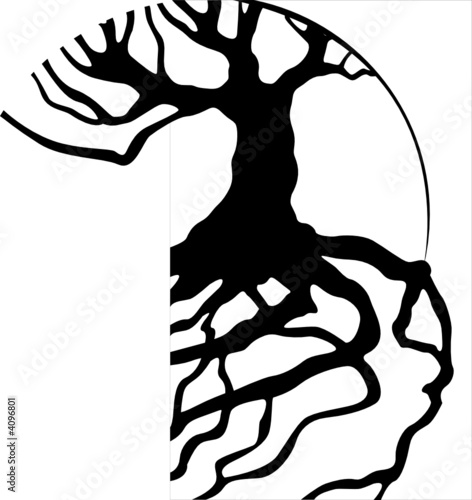 Tree Roots