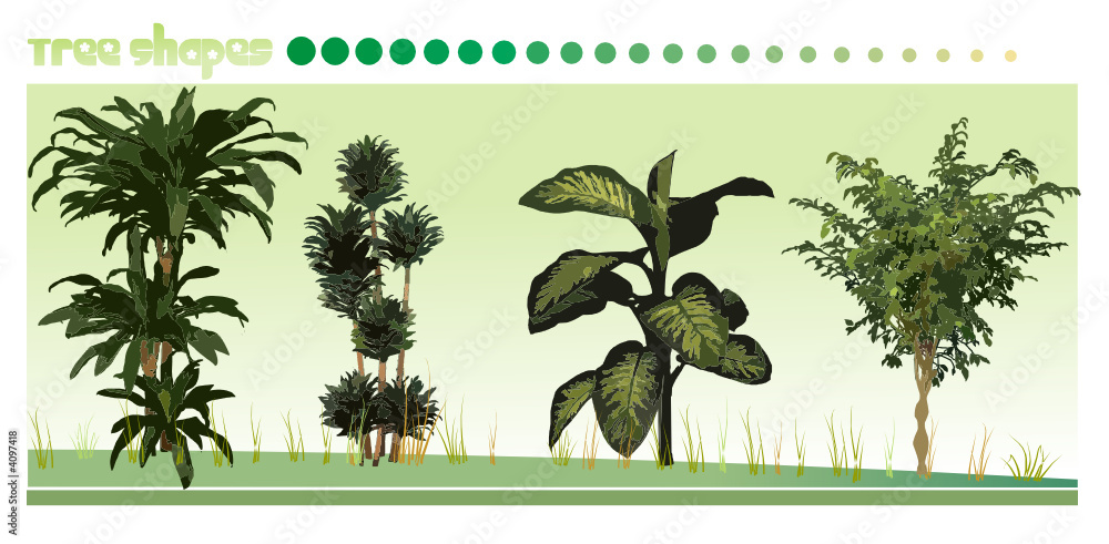 composicion de vectores de plantas