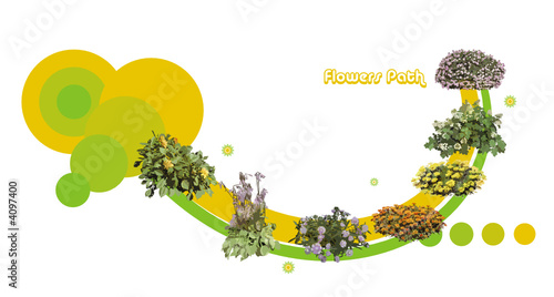 composicion de flores en vector