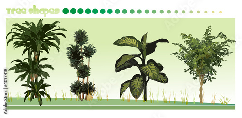 composicion de vectores de plantas