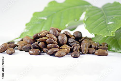 Coffee Beans and Leaf