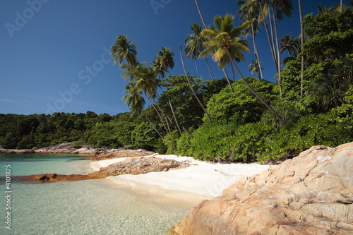 Tropical Beach
