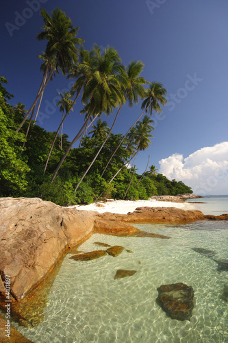 Tropical Beach