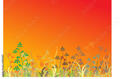 Abstract grass background. Vector illustration