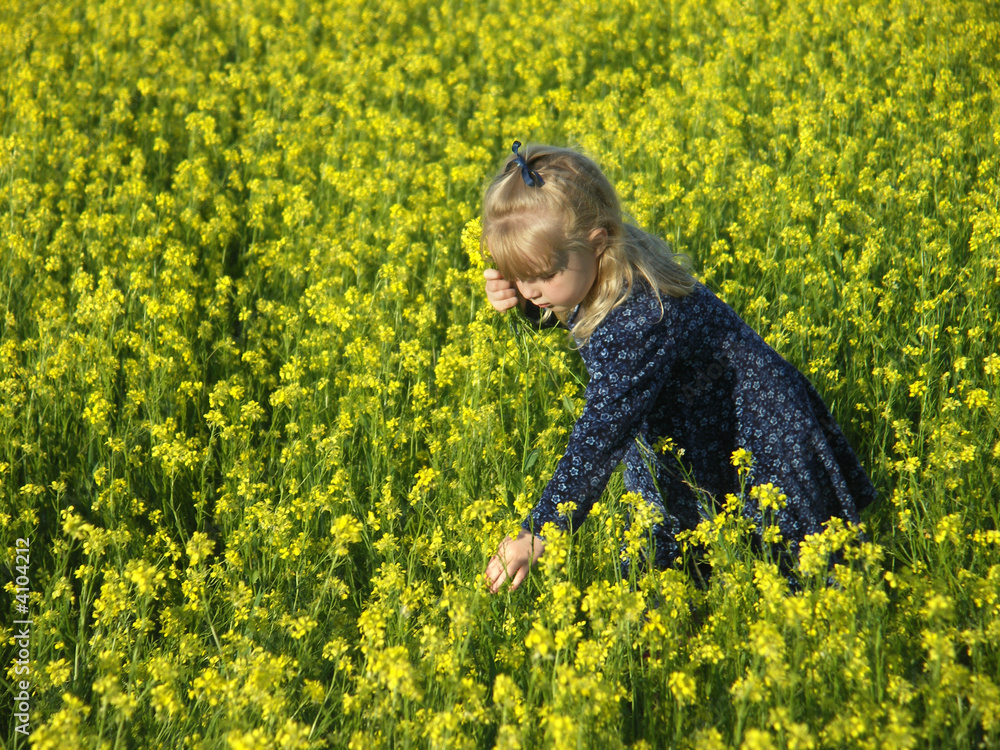 Fototapeta premium Picking flowers