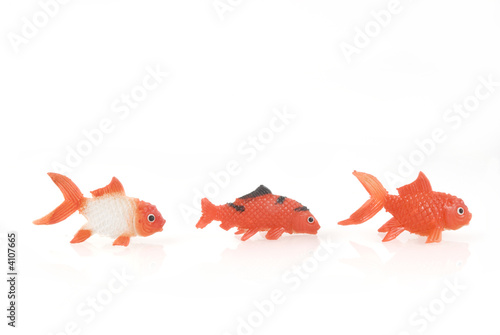 Three goldfishes photo