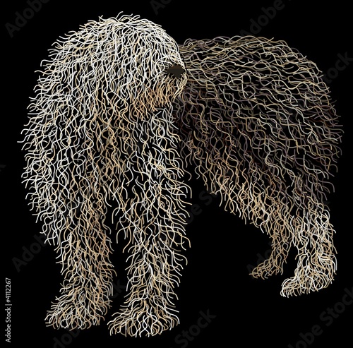 Old English Sheepdog