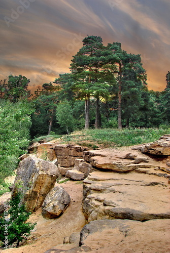 August Landscape with stones and pine forest