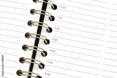 Daily appointments sheet - opened agenda background