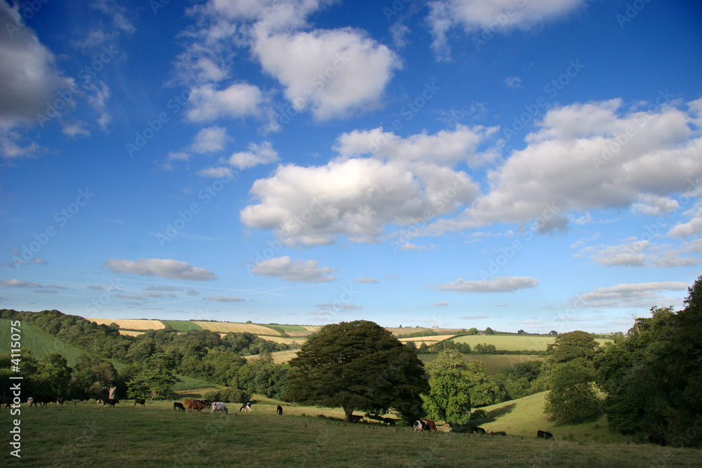 Fototapeta premium view over fields