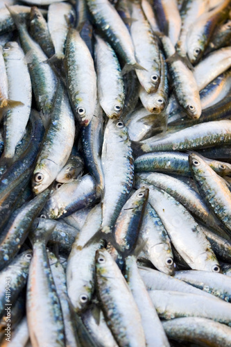 Fresh sardines packed at outdoor market