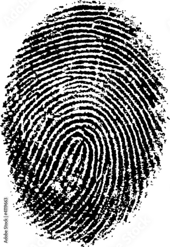 Vector Fingerprint