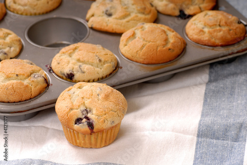 Fresh warm blueberry muffins in a muffin pan with one in front
