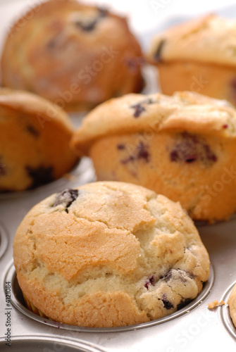 Close up of fresh warm blueberry muffins in a muffin pan