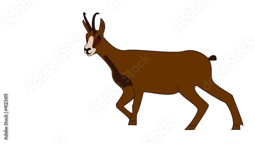 Chamois