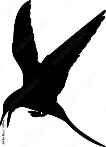Vogel 01