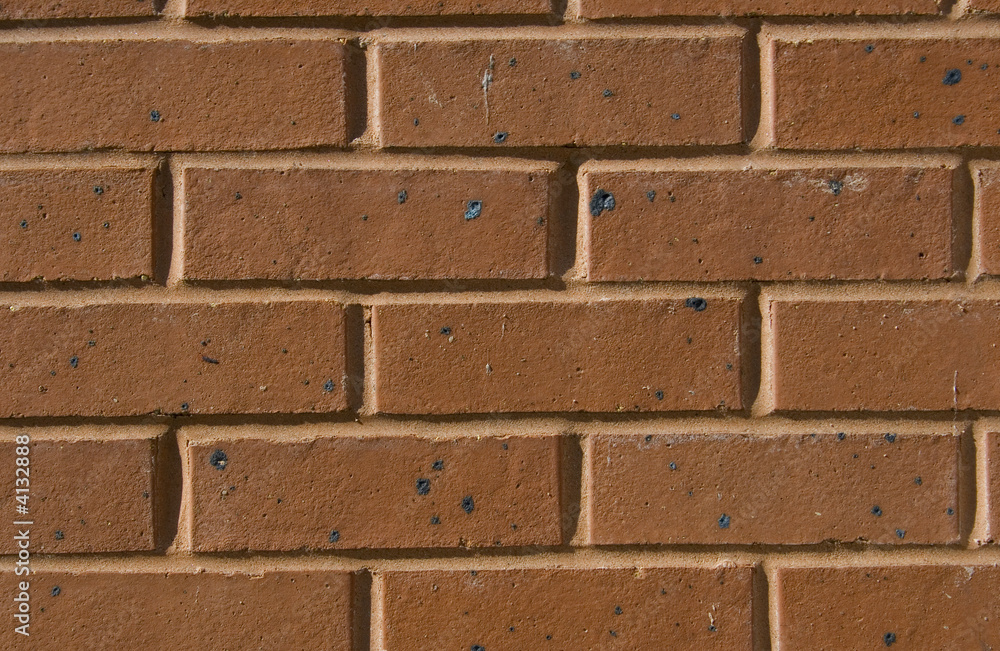 Obraz premium Brick Wall