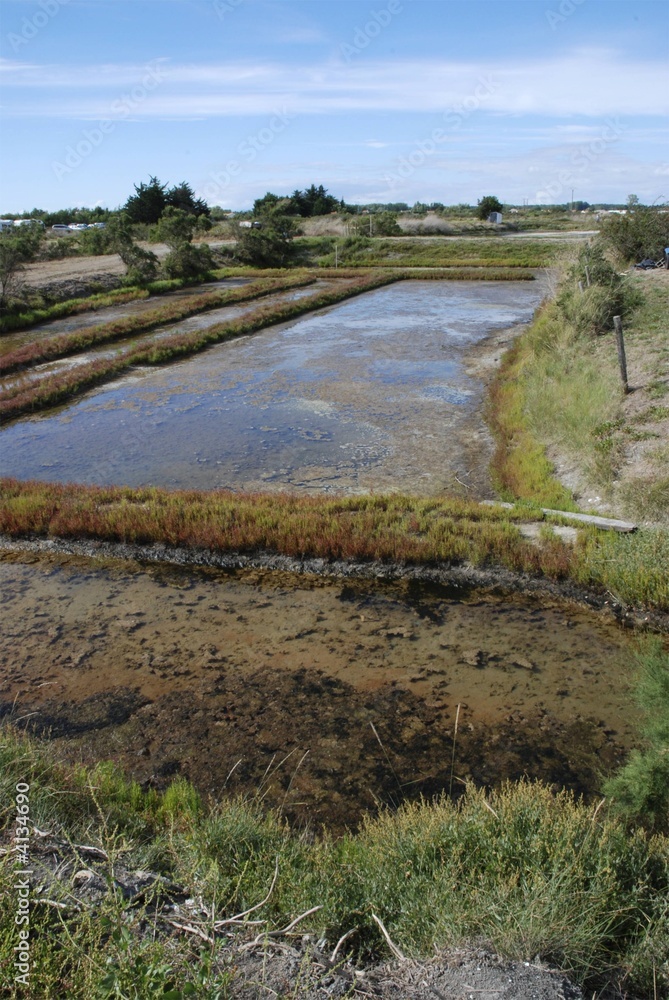 marais salants,