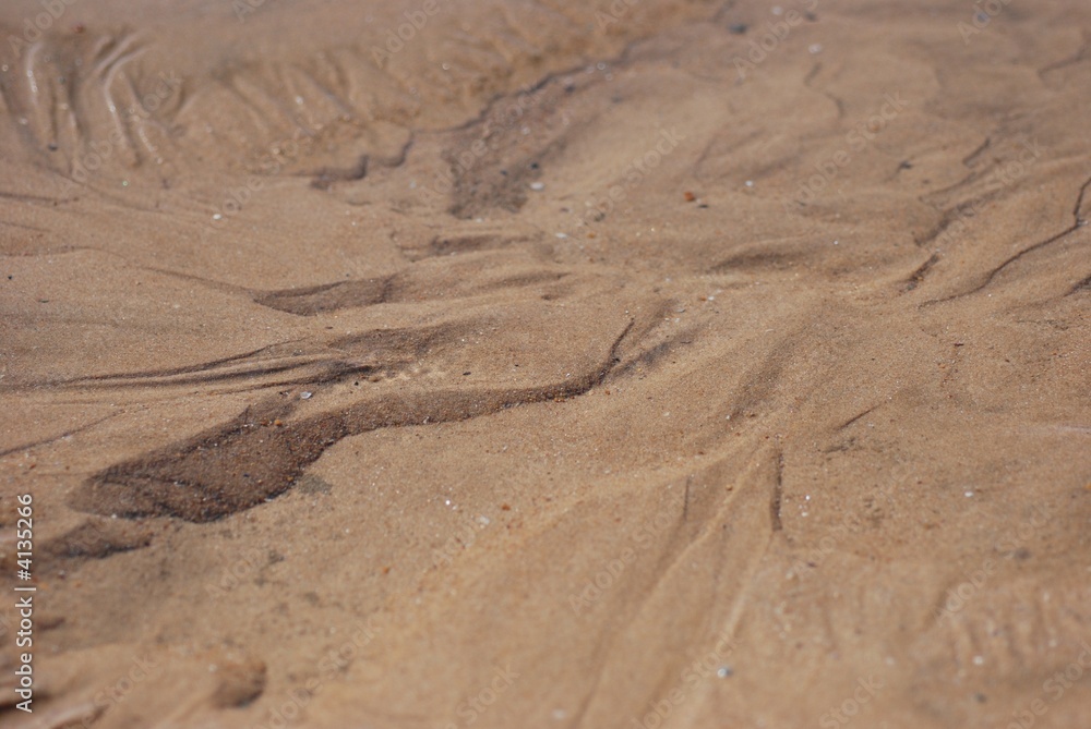 beach, grains, ground, holidays, sand, sea, shells, tide beach, grains, ground, holidays, sand, sea, shells, tide