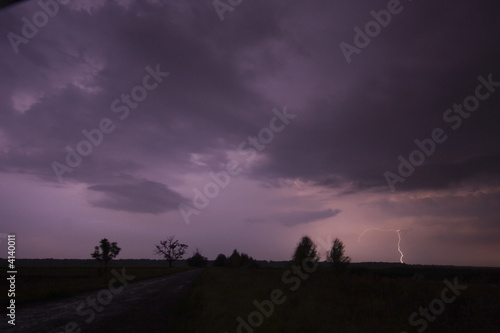 Storm with a tree photo