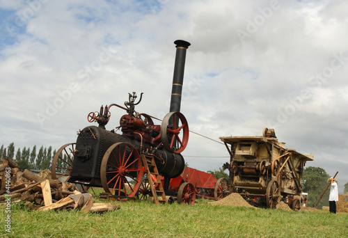 Quadro em tela Vintage harvest scene