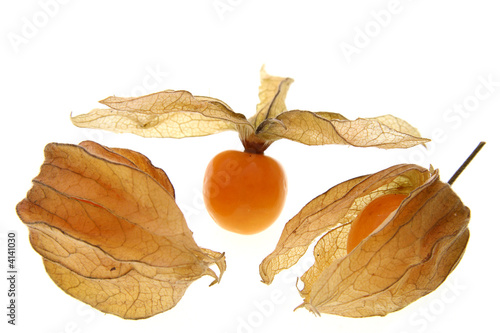 Fotografía three physalis berryes