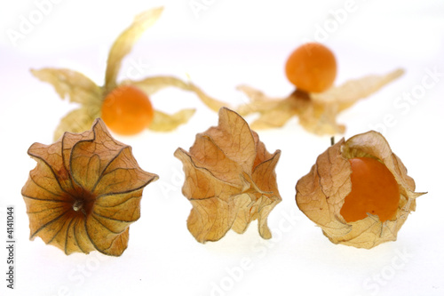 three physalis berryes