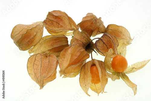Cuadro en lienzo pile of physalis berries on white
