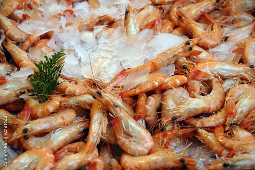 Crevettes dans la glace