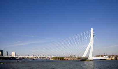Fototapete Erasmusbrücke Hängebrücke Stahlseile architektonisches Detail  © erikdegraaf