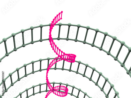 Fototapeta Naklejka Na Ścianę i Meble -  gene in DNA.