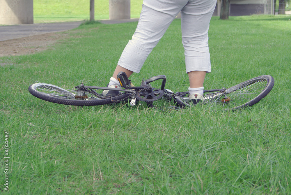 Obraz premium Drahtesel