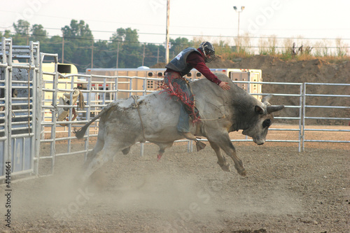 Bull Rider