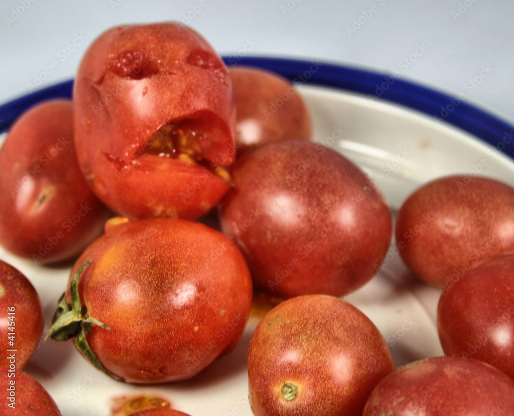 Plight of the tomato