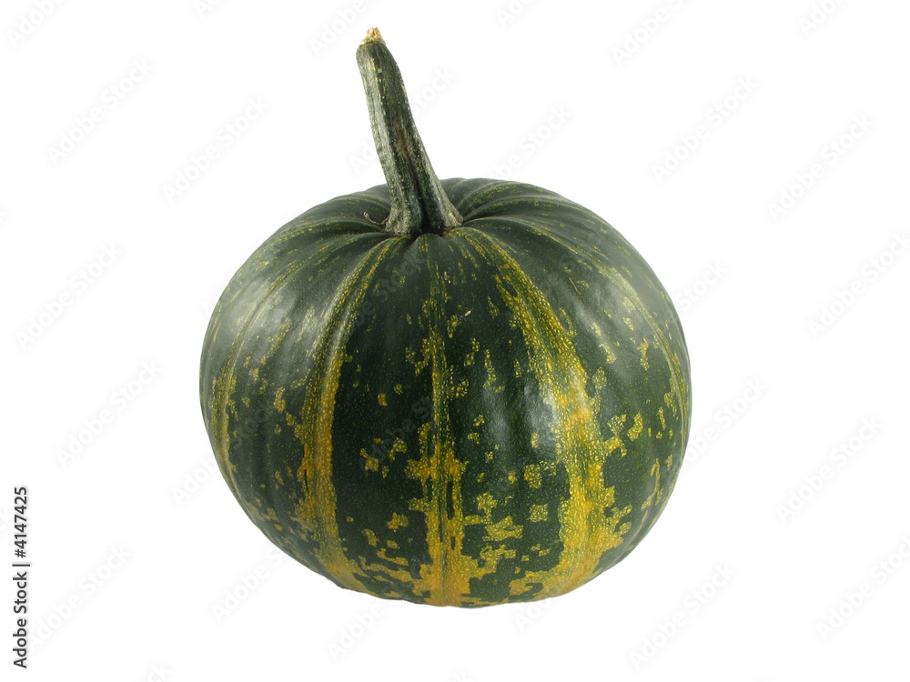 pumpkin pumpkin