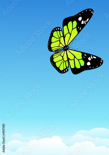 Papillon en liberté