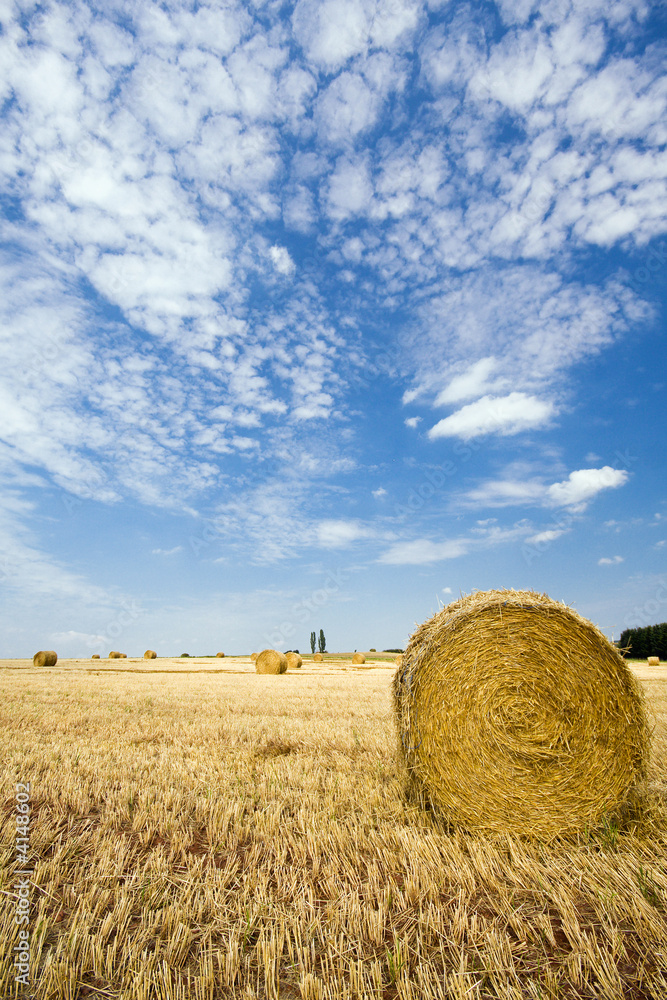 heurollen auf dem feld