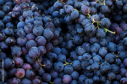 Fresh dark red grapes at market place