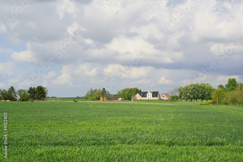 Denmark countryside 1