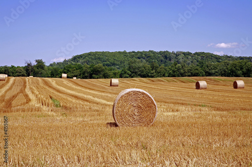 Hay Bales 