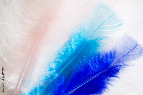 Trois plumes