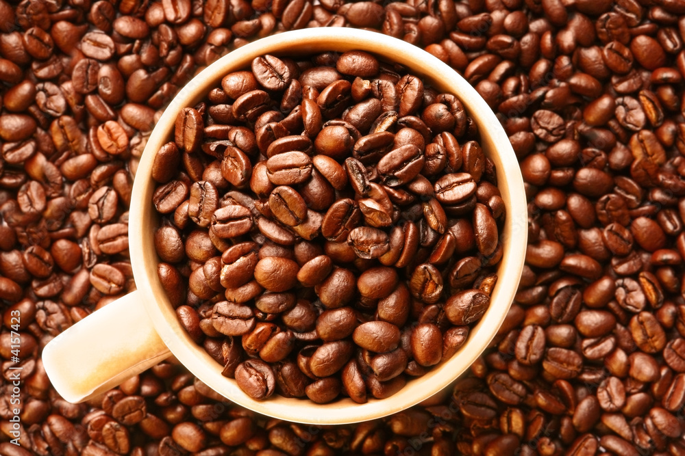Fototapeta premium Coffee Beans