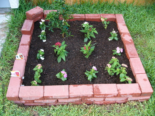 Small Garden
