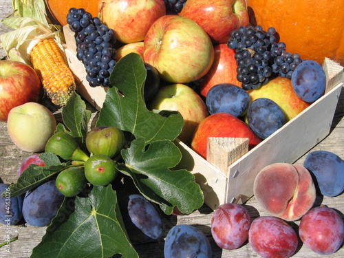 Obstkorb 2