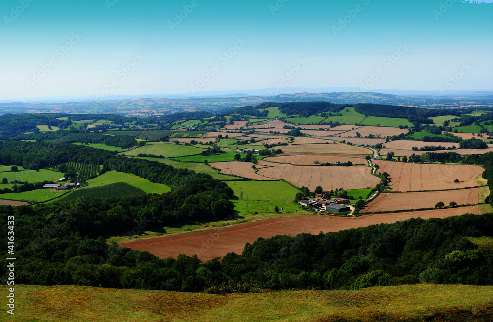 Coloured fields panorama