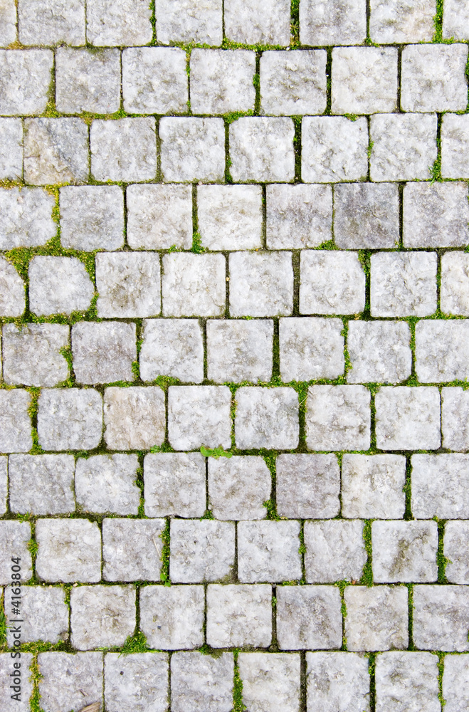 Stone pavement with green grass