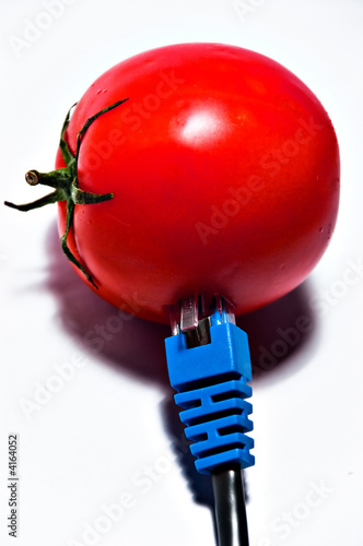 Network tomato