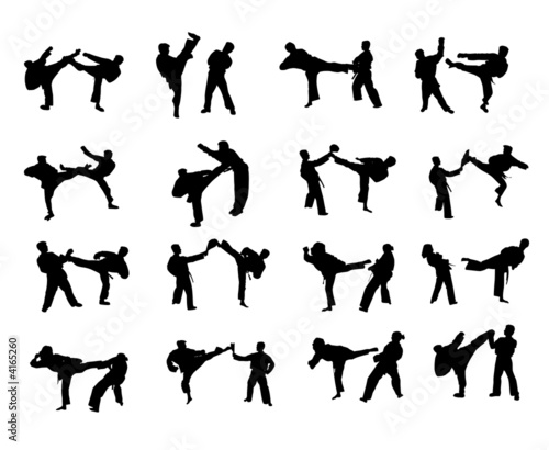 Kampfsport 1
